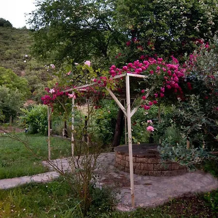 Nehir Evi - Adult Only 3*