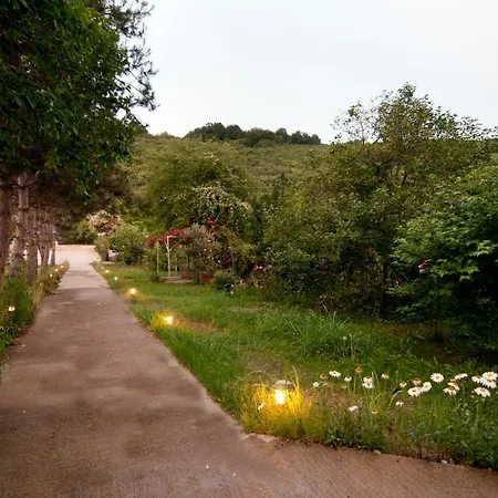 Nehir Evi - Adult Only 3*